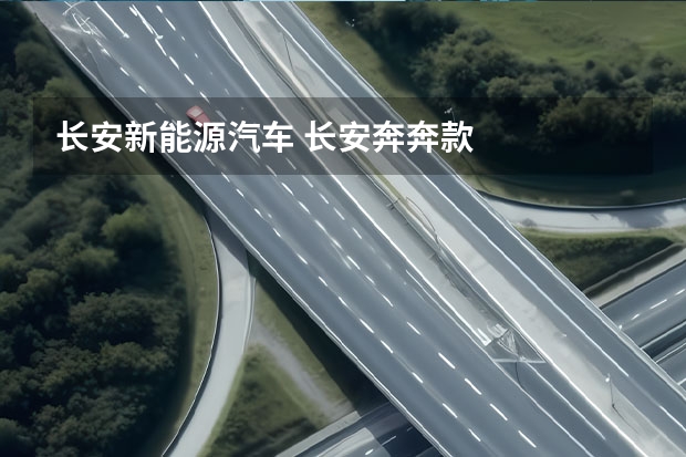 长安新能源汽车 长安奔奔款