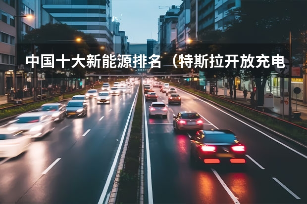 中国十大新能源排名（特斯拉开放充电桩，瞄准了一个千亿市场）