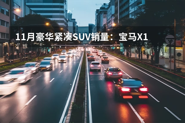11月豪华紧凑SUV销量：宝马X1领跑 奥迪Q3跌出前三 大陆豪车销售排行榜(21年11月豪车汽车销量排行榜)
