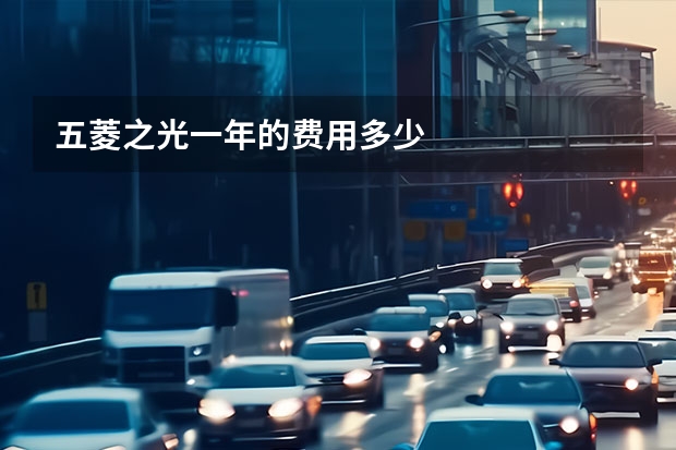 五菱之光一年的费用多少