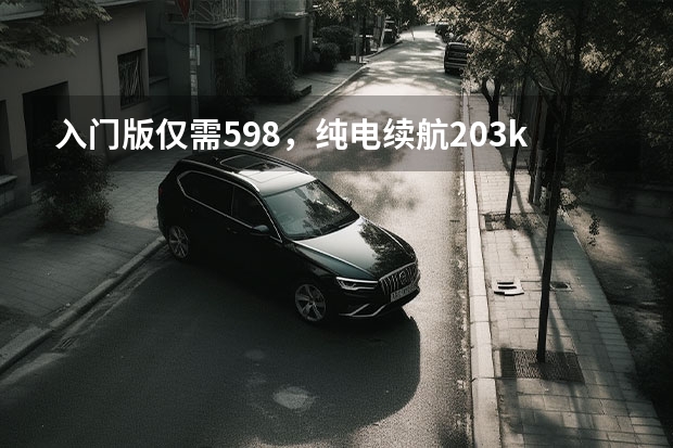 入门版仅需5.98，纯电续航203km，五菱缤果实力解析（提五菱缤果，跑公里才花100元，纯电车代步确实香）