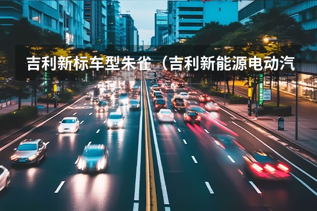 吉利新标车型朱雀（吉利新能源电动汽车价格表）