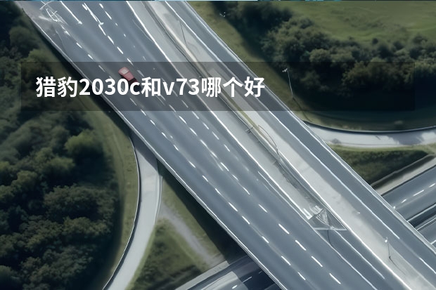 猎豹2030c和v73哪个好