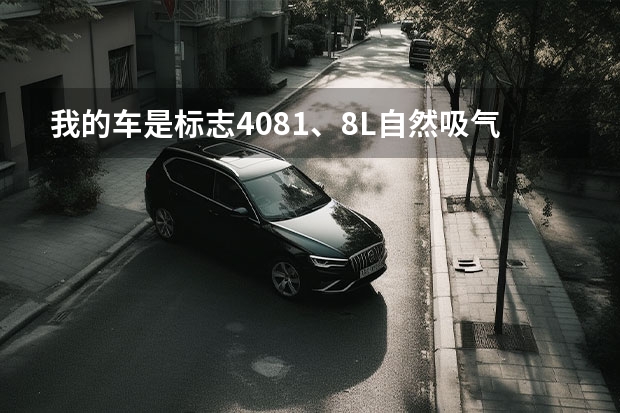 我的车是标志4081、8L自然吸气发动机，最近感觉蚝油好大怎么回事