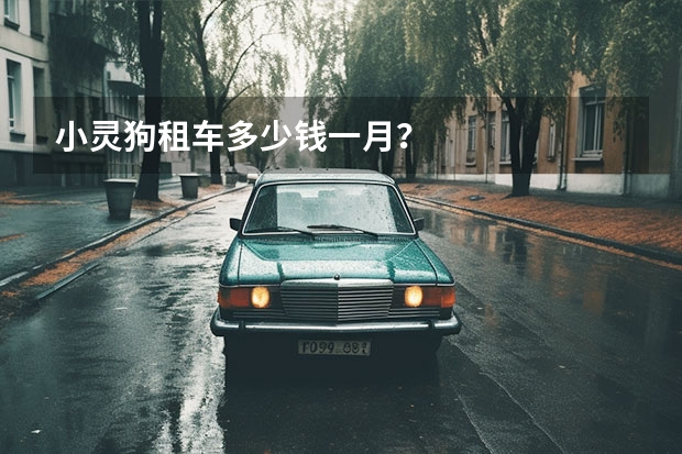 小灵狗租车多少钱一月？