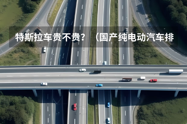 特斯拉车贵不贵？（国产纯电动汽车排名及价格表）