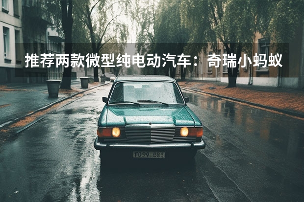 推荐两款微型纯电动汽车：奇瑞小蚂蚁 VS 比亚迪e1（奇瑞eQ1补贴后售报价）