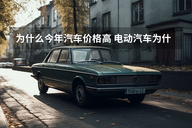 为什么今年汽车价格高 电动汽车为什么贵？