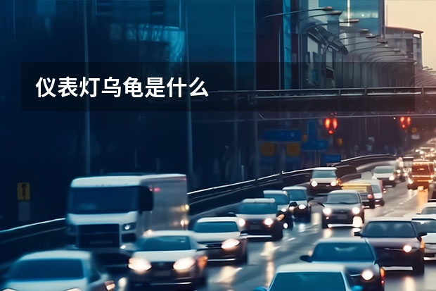 仪表灯乌龟是什么