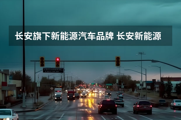 长安旗下新能源汽车品牌 长安新能源汽车充不进去电？