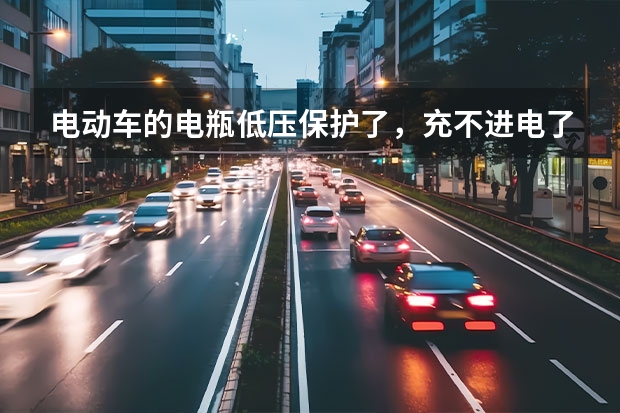 电动车的电瓶低压保护了，充不进电了怎么办啊。电瓶是好的