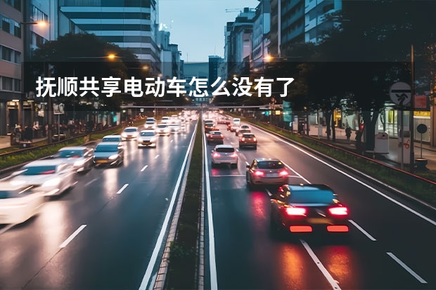 抚顺共享电动车怎么没有了