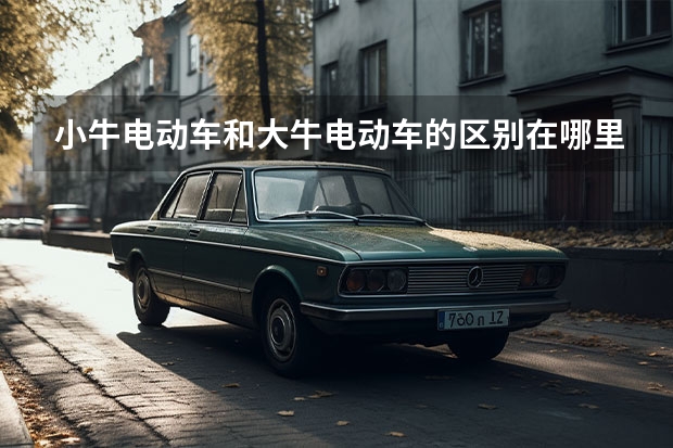 小牛电动车和大牛电动车的区别在哪里，电动车小牛和大牛哪个好