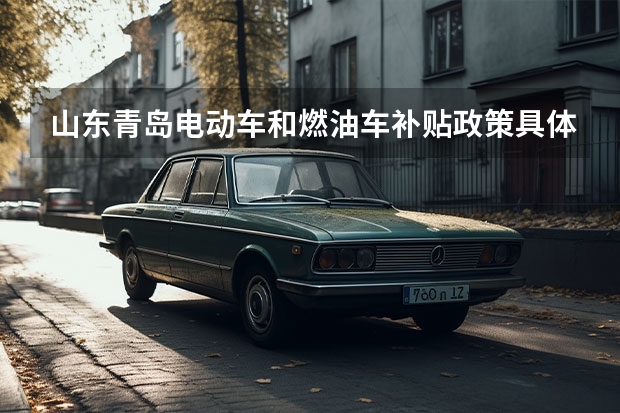 山东青岛电动车和燃油车补贴政策具体内容是什么？
