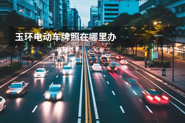 玉环电动车牌照在哪里办