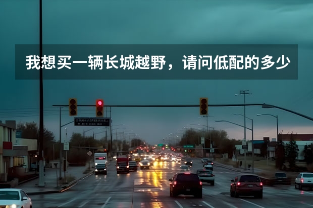我想买一辆长城越野，请问低配的多少钱？