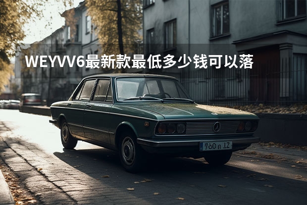 WEYVV6最新款最低多少钱可以落地？