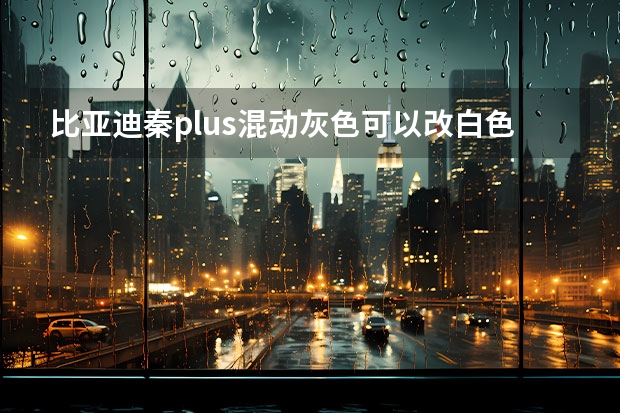 比亚迪秦plus混动灰色可以改白色吗