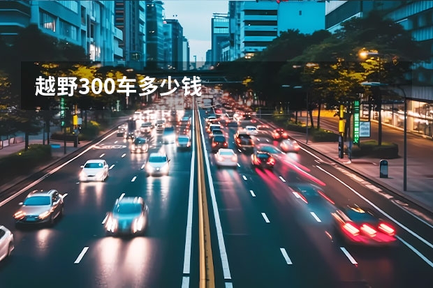 越野300车多少钱
