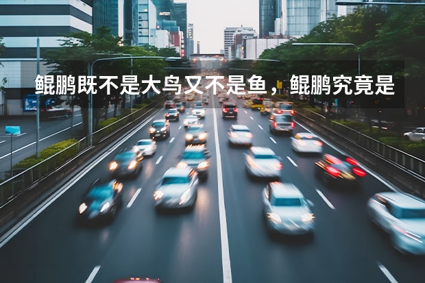 鲲鹏既不是大鸟又不是鱼，鲲鹏究竟是什么动物？