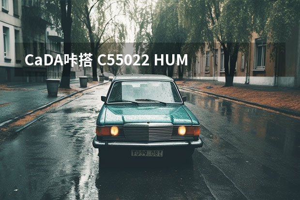 CaDA咔搭 C55022 HUMVEE越野车-积木拼装玩具 布鲁可积木 62106 布布遥控越野车套组