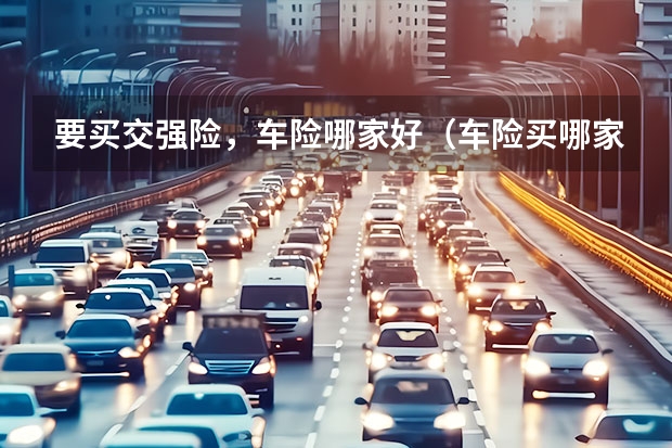 要买交强险，车险哪家好（车险买哪家保险公司比较好）
