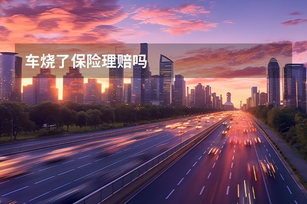 车烧了保险理赔吗