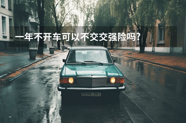 一年不开车可以不交交强险吗?