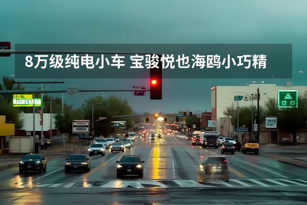 8万级纯电小车 宝骏悦也/海鸥小巧精致 欧拉白猫造型个性 小巧灵活，好停车的三款纯电动微型车