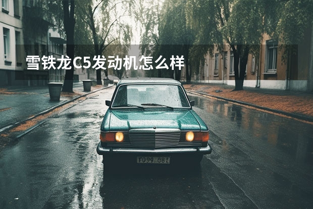 雪铁龙C5发动机怎么样