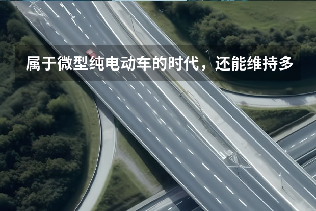 属于微型纯电动车的时代，还能维持多久？