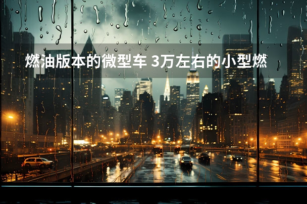 燃油版本的微型车 3万左右的小型燃油车