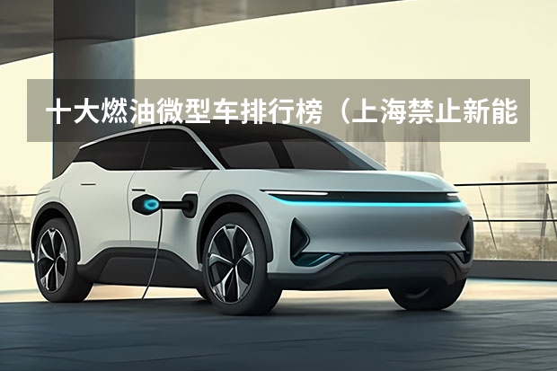 十大燃油微型车排行榜(上海禁止新能源车上牌?)