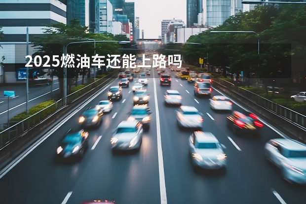 2025燃油车还能上路吗