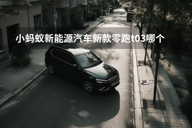 小蚂蚁新能源汽车新款零跑t03哪个好