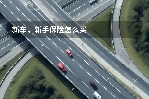 新车,新手保险怎么买