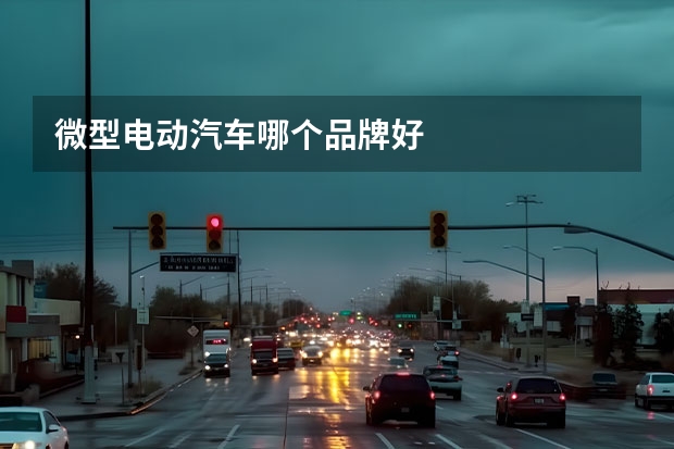 微型电动汽车哪个品牌好