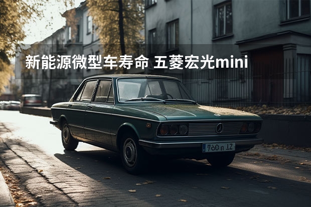 新能源微型车寿命 五菱宏光mini电池寿命