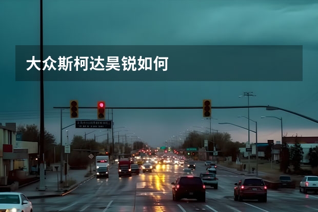 大众斯柯达昊锐如何
