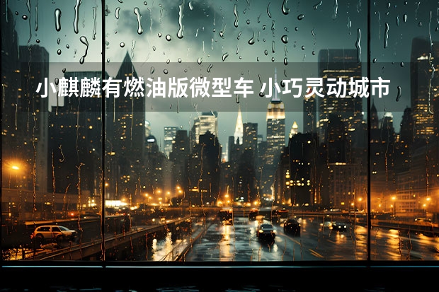 小麒麟有燃油版微型车 小巧灵动城市女性新选择 试驾雷诺江铃小麒麟
