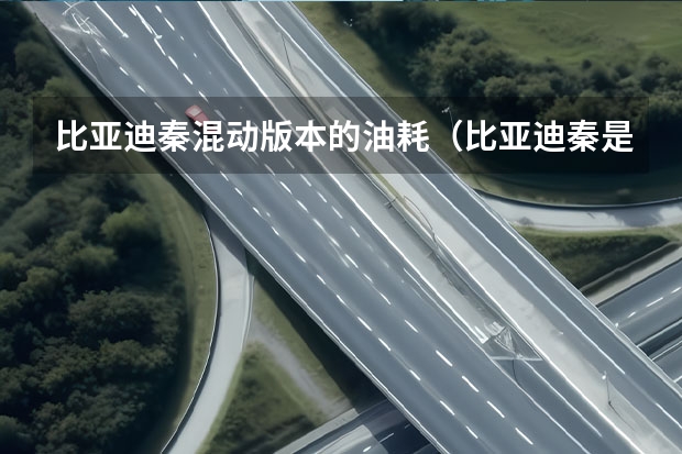 比亚迪秦混动版本的油耗（比亚迪秦是插电混动还是油电混动）