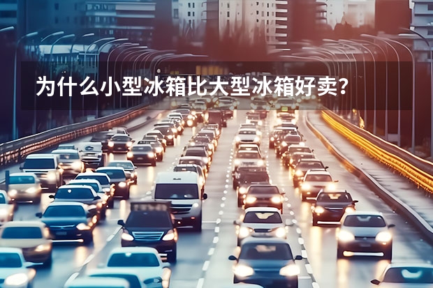 为什么小型冰箱比大型冰箱好卖？