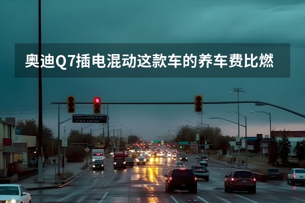 奥迪Q7插电混动这款车的养车费比燃油车都要高吗？