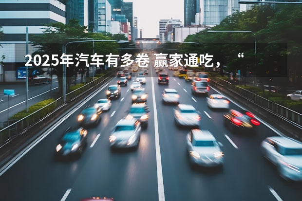 2025年汽车有多卷 赢家通吃，“卷”不动的汽车新势力们