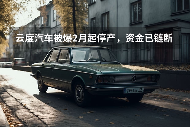 云度汽车被爆2月起停产，资金已链断裂 2025年中国汽车行业“毒圈”缩小