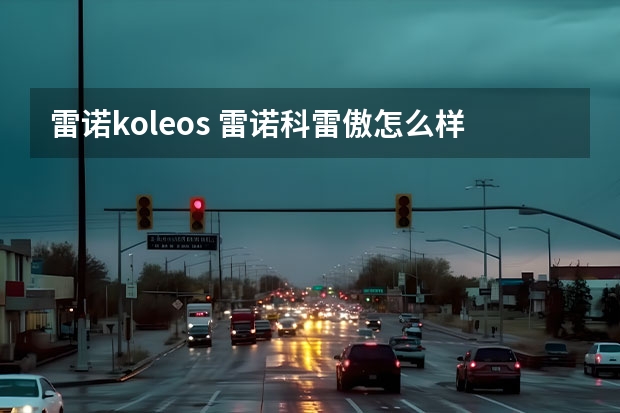 雷诺koleos 雷诺科雷傲怎么样
