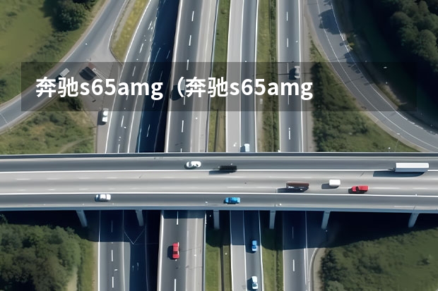奔驰s65amg（奔驰s65amg二手车）