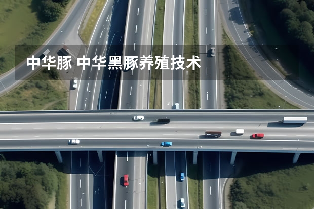中华豚 中华黑豚养殖技术