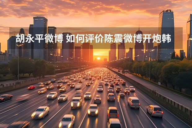 胡永平微博 如何评价陈震微博开炮韩路?