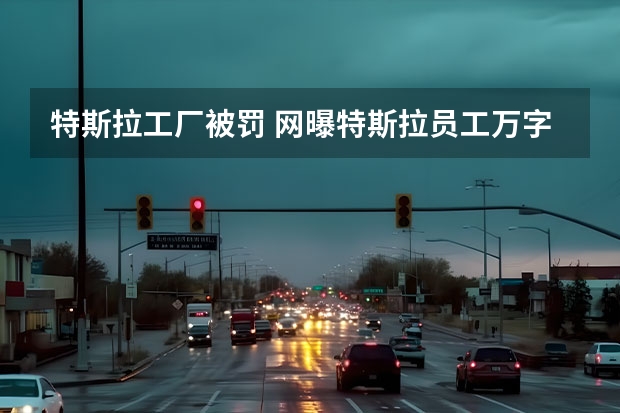 特斯拉工厂被罚 网曝特斯拉员工万字长文控诉血汗工厂，特斯拉究竟是各什么样的公司？